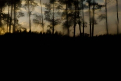 Sonnenuntergang